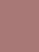 #a67775 color image