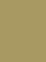 #a69964 color image