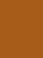 #a75c19 color image