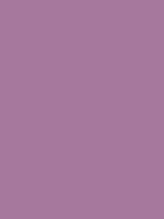 #a7789d color image