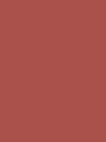 #aa514b color image