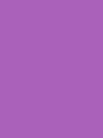 #aa61ba color image