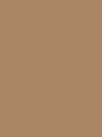 #aa8564 color image