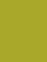 #aaa52b color image