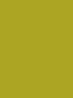 #aba525 color image