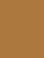 #ad783d color image