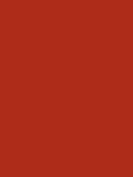 #ae2c19 color image