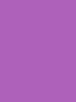 #ae61ba color image