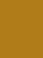 #b07c19 color image