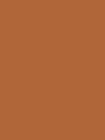 #b1663a color image