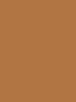 #b17543 color image