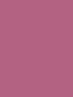 #b36282 color image