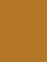 #b37726 color image