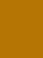 #b57504 color image