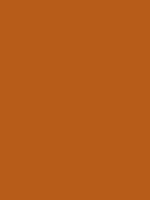 #b75c19 color image