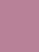 #b88198 color image