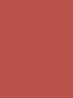 #ba514b color image