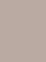 #baaaa2 color image