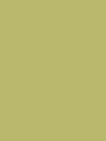 #bab86c color image