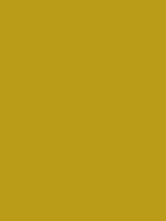 #bb9c19 color image
