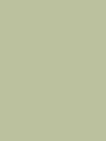 #bbc19e color image