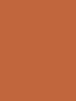 #c1663d color image