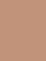 #c1937a color image