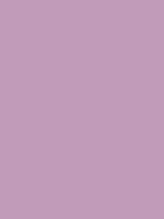 #c19bb9 color image