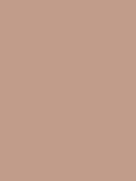 #c19c8a color image