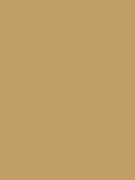 #c19e65 color image