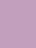 #c19fbd color image
