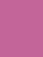 #c36498 color image