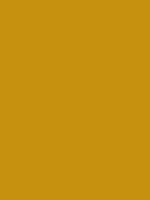 #c79110 color image
