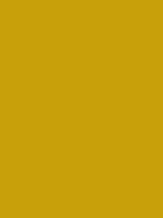 #c8a00a color image