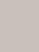 #c9c0bb color image