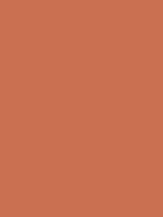 #ca7051 color image