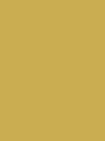 #caac51 color image