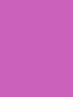 #cb61ba color image