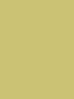 #cbc274 color image