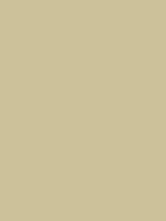 #ccc19a color image