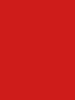 #cd1c19 color image