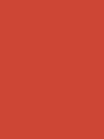 #cd4635 color image