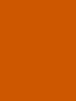 #cd5700 color image