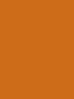 #cd6c19 color image