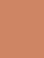 #cd8564 color image