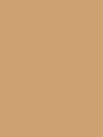 #cda170 color image