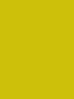 #cdc00a color image