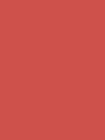 #ce514b color image