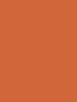 #d1663a color image