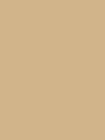 #d2b48c color image